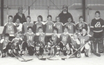 Hanover Mite II